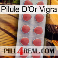 Vigra Gold Pill 18